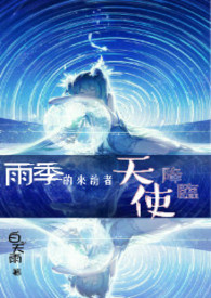 雨季的來訪者小说封面